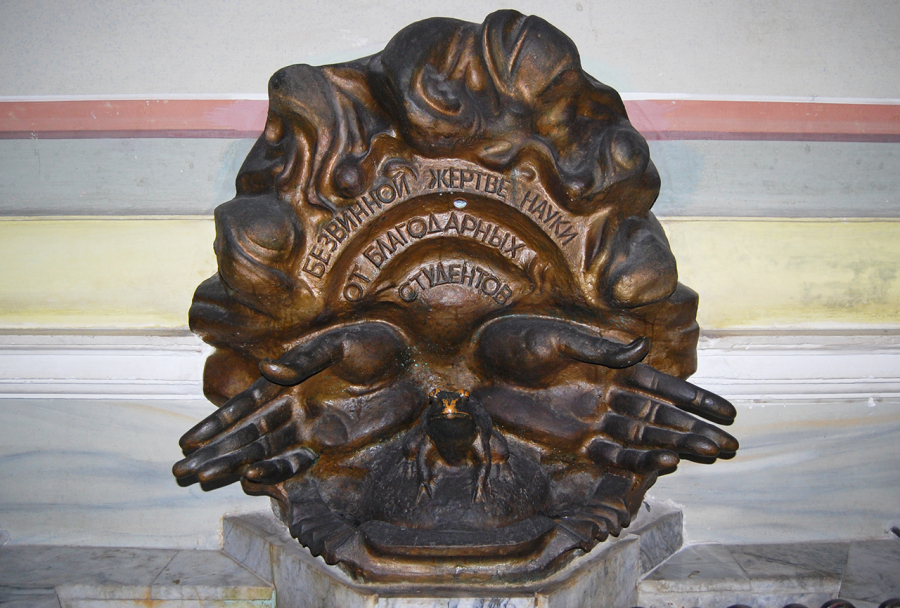 Пам'ятник жабі