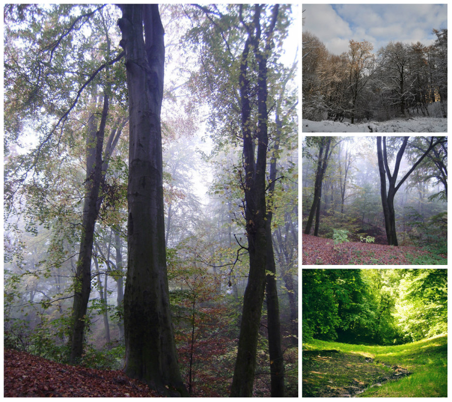 Парк "Залізна Вода"