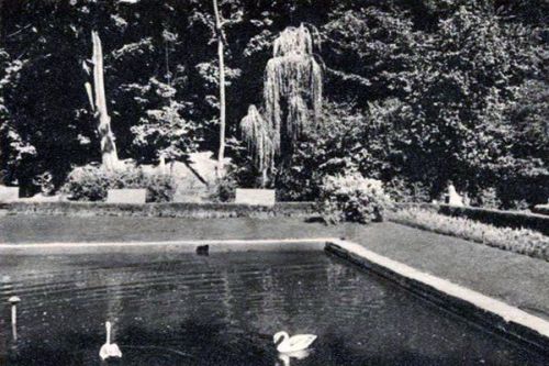 Стрийський парк, 60-ті роки ХХ ст.