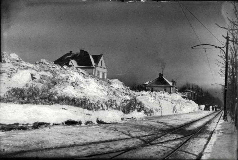 Вул. 29 Листопада ( нин. Коновальця ). фото 1932 року