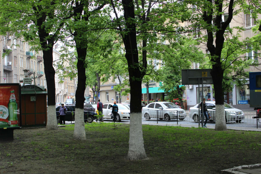 Сквер на розі вулиць Князя Романа та Герцена, на місці давнього храму Богоявлення. Фото 2015 року