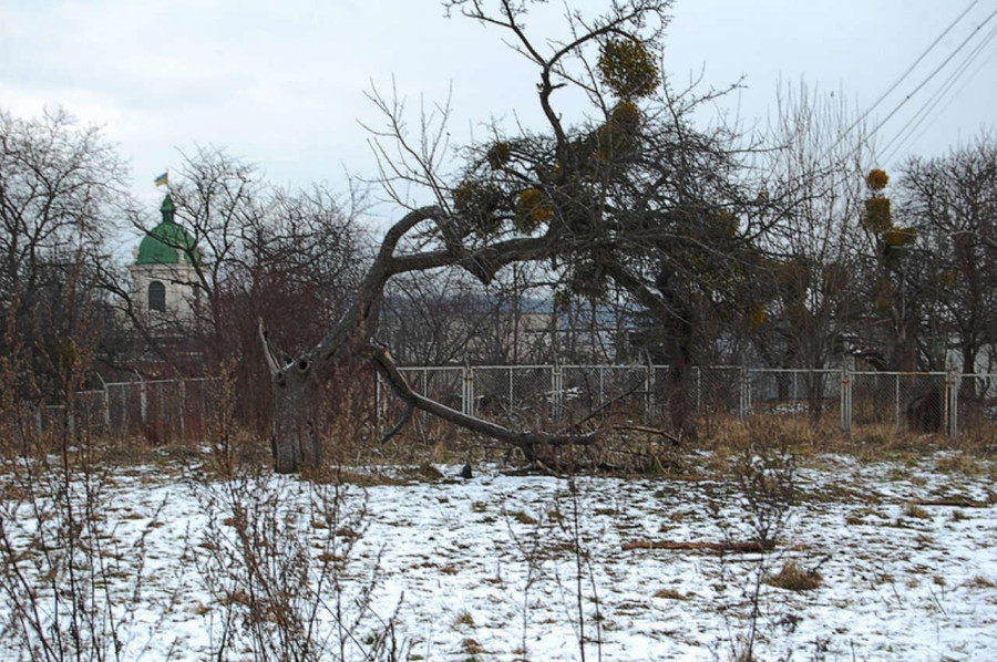 Митрополичі сади Святого Юра. Фото наших днів