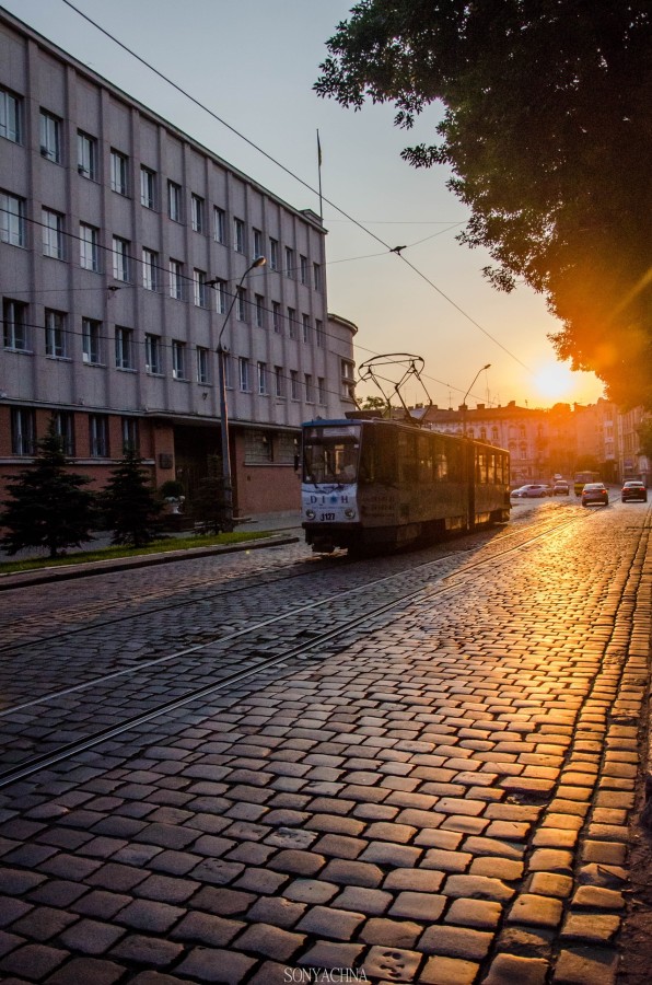 Львів передвечірній 