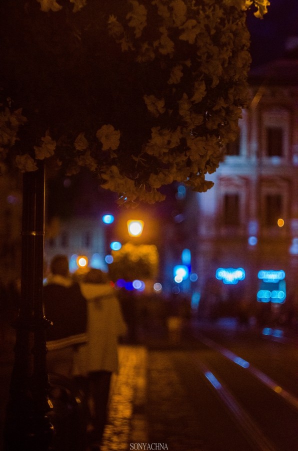 Ніч у Львові