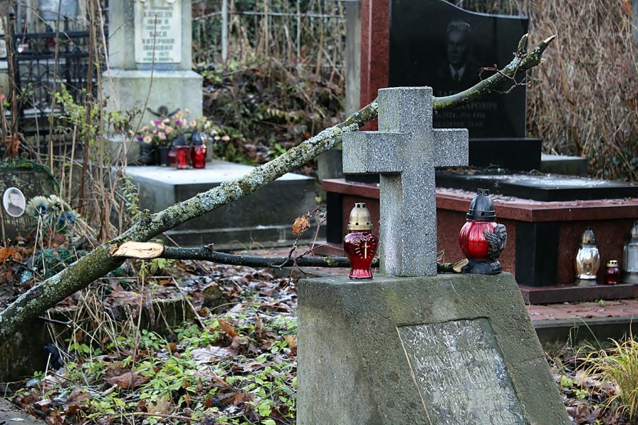 Часом, від випадкового хрускоту гілки на Личакові зароджують легенди