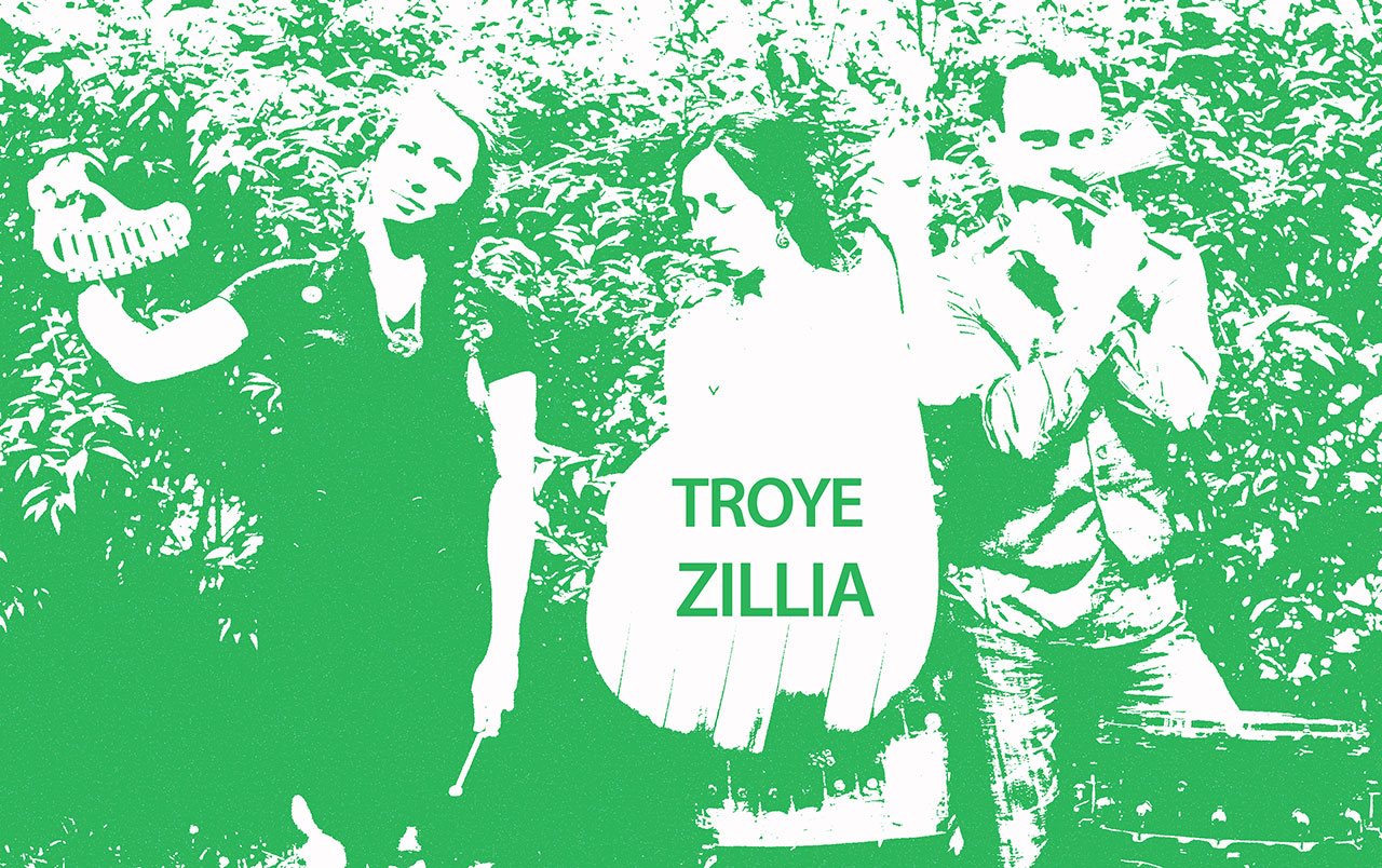 Гурт Troye Zillia