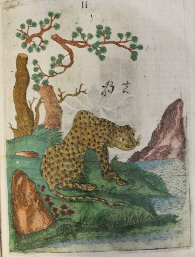 Одна з замальовок Міхала Боїма. Фото з www.nhm.ac.uk