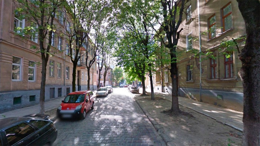 Сучасна вулиця Олени Степанівни