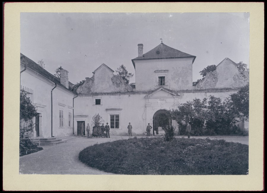 Свірзький замок на початку 20 ст.. Фото 1905 року