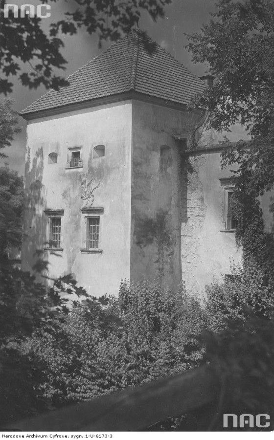 Грифон на стіні Свірзького замку. Фото 1910-1939 рр.