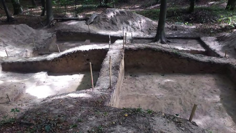 Розкоп курганного могильника. Фото: Софія Змерзла