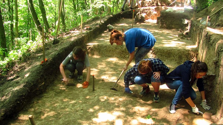 Розкоп в ур. «Оленин парк». Фото: Софія Змерзла