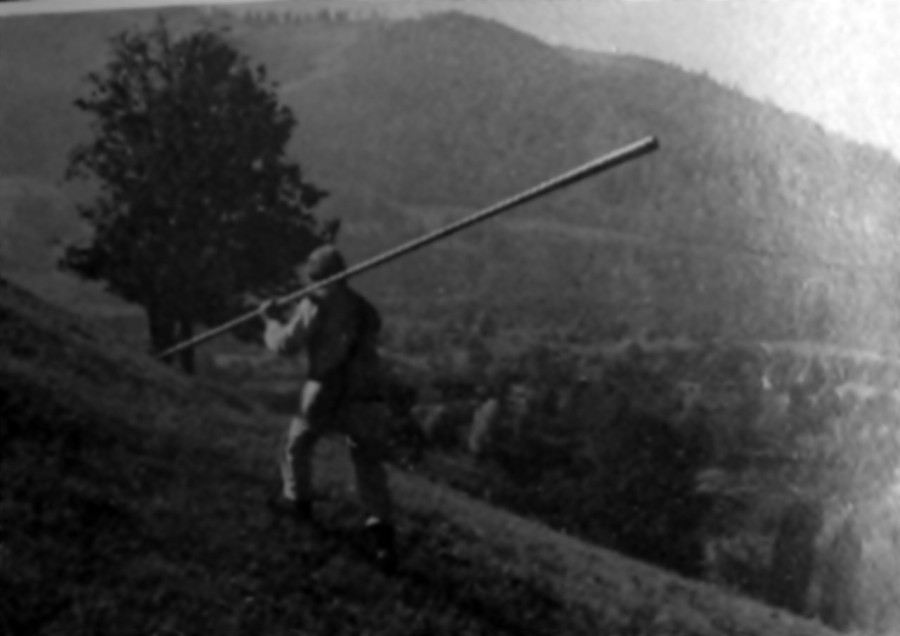 Степан Ожґа. Карпатський краєвид (Баран Р. Забутий за життя // Світло й Тінь. – 1994. – № 3/4)