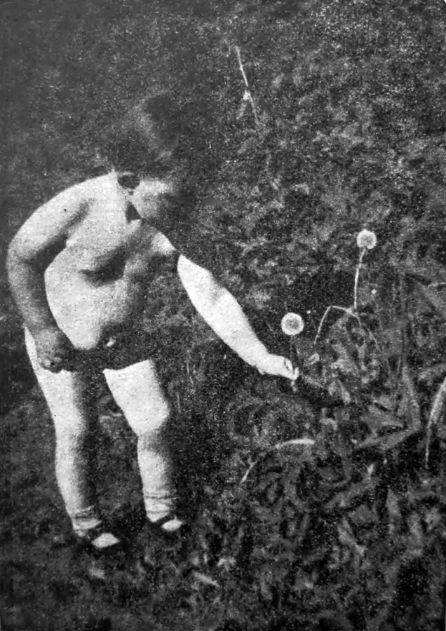 Степан Ожґа. Ева (Світло й Тінь. – 1936. – Ч. 9)