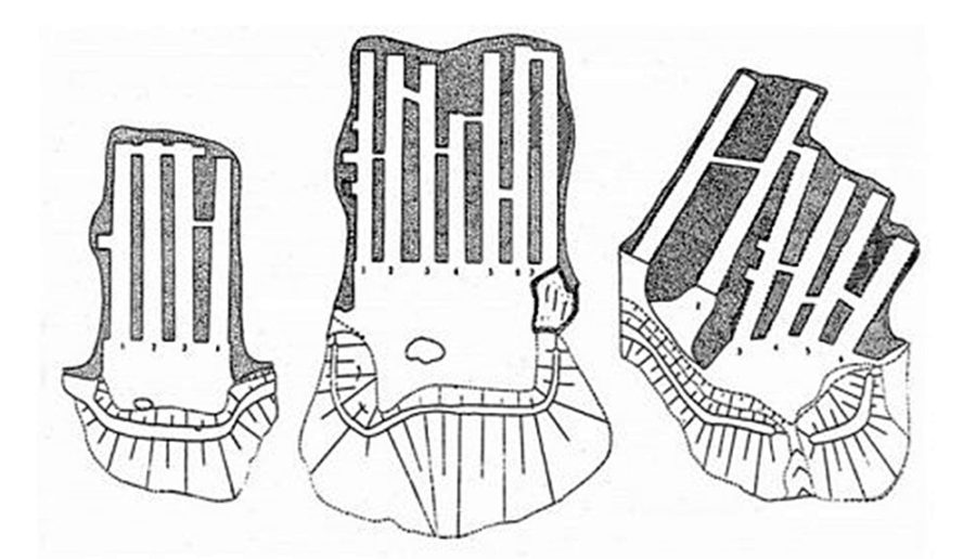 План трьох печерних комплексів на Чорній (Лисій) Горі. Джерело: http://zaxid.net/news/showNews.do?stilske_gorodishhe__novi_doslidzhennya_znahidki_i_vtrati_zustrich_iz_orestom_korchinskim&objectId=1308997