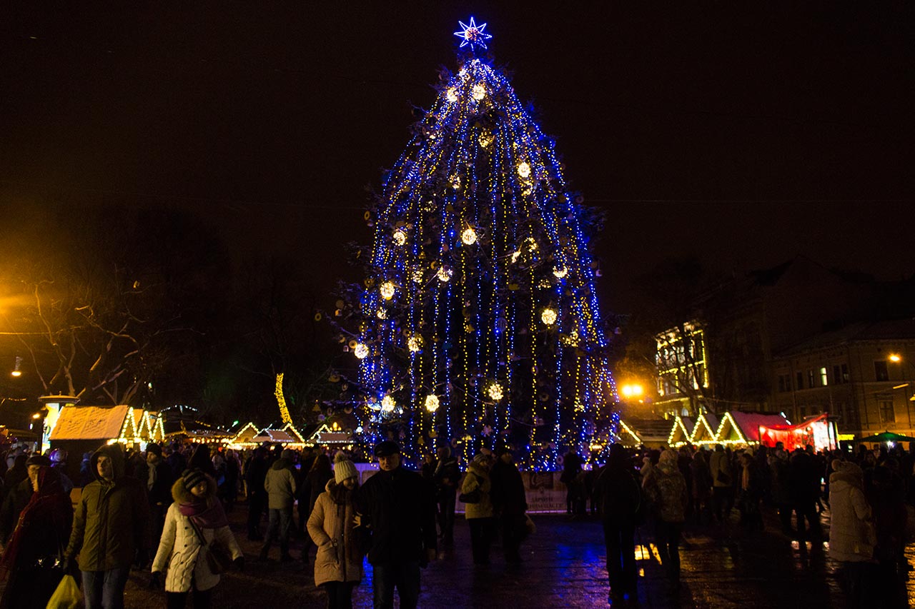 Головна ялинка Львова