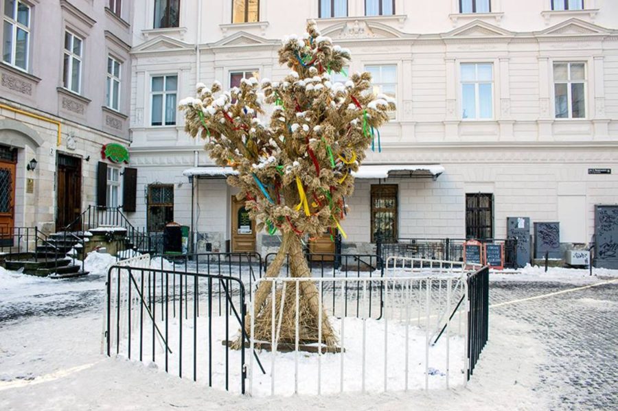 Дідух уЛьвові, 2017 р.