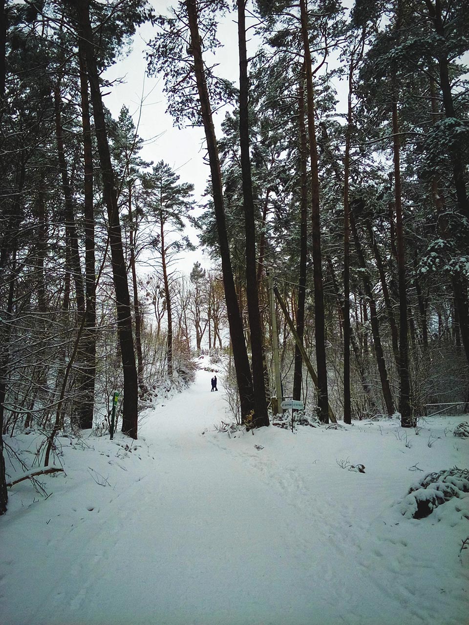 Дорога, що веде до церкви Успіння Пресвятої Богородиці в Страдчі. Фото Ірини Хлян.