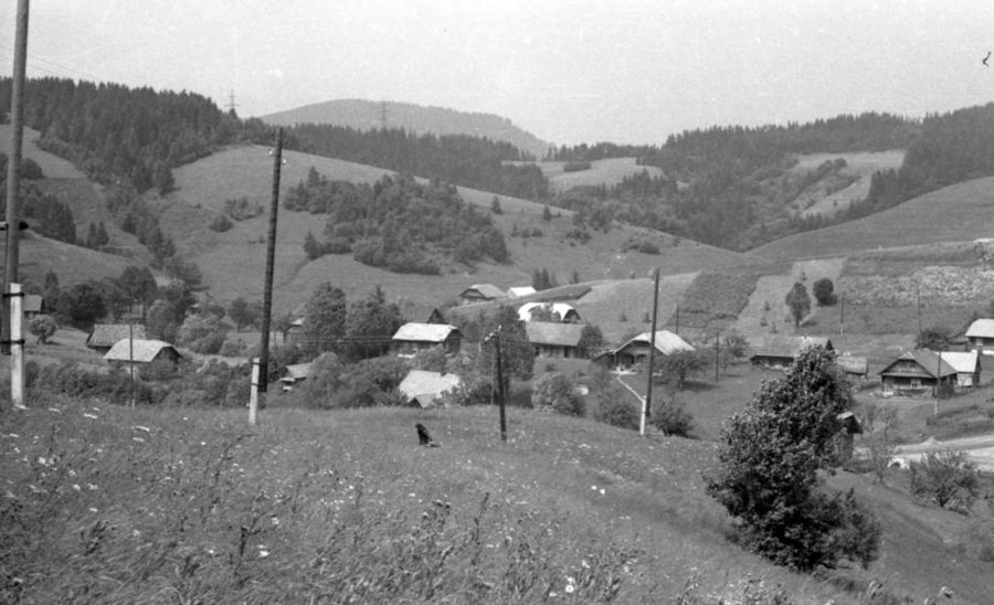 Панорамне фото села Плав’я