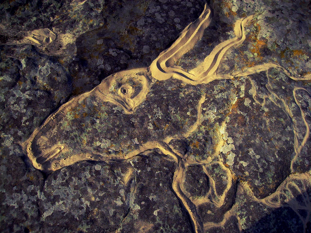 О. Чегорка. Із серії "Малюнки на кам'яній могилі".