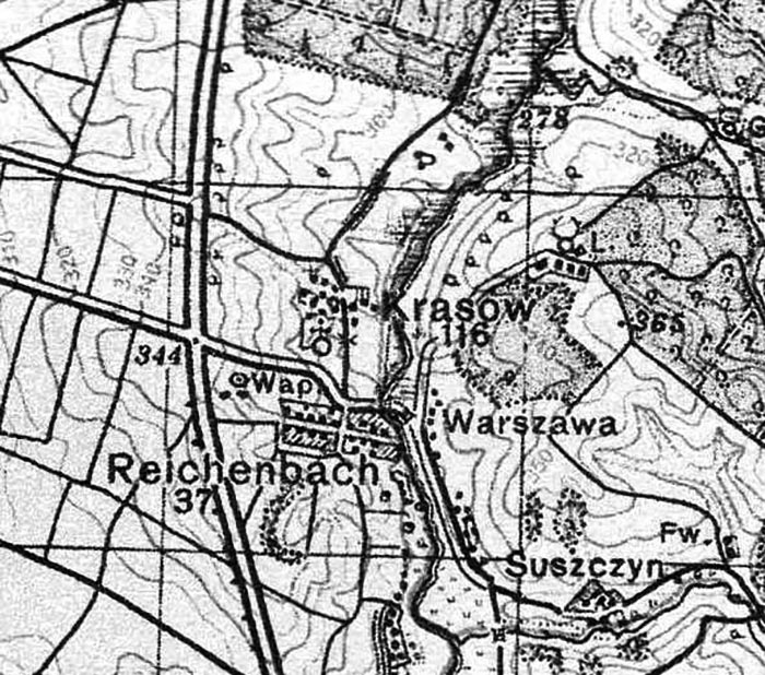 Райхенбах на топографічній карті
