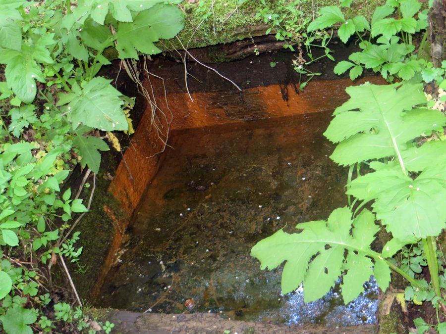 Джерело "Зося" в околицях Трускавця, 2016 рік