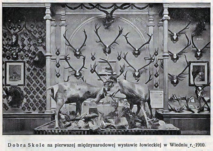 Мисливські експонати представлені на Першій міжнародній мисливській виставці у Відні у 1910 році з мисливського господарства Сколе .