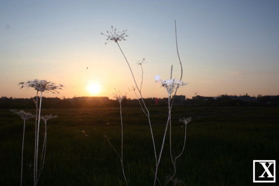 Узбережжя Стиру