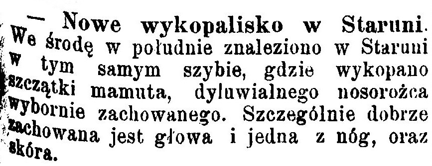 Нові розкопки в Старуні