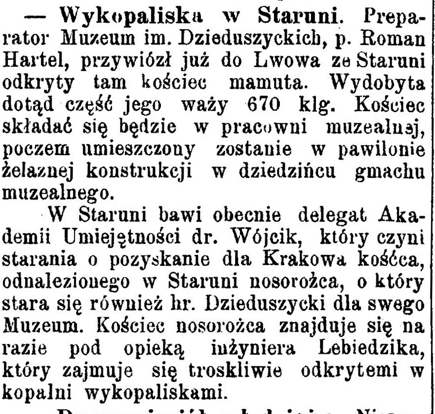 Розкопки в Старуні