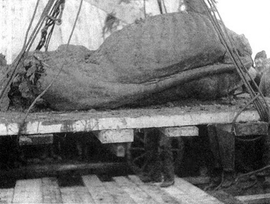 Завантаження носорога на платформу (1929 р.)