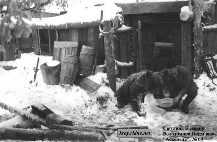 Василь Білінчук "Сибіряк" з ведмежам