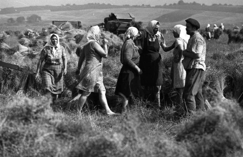 Жовківський (кол. Нестеровський) район, 1970-ті рр. Фотограф: Всеволод Тарасевич