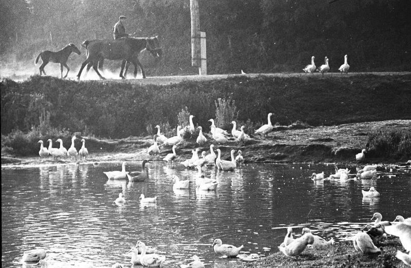 Жовківський (кол. Нестеровський) район, 1970-ті рр. Фотограф: Всеволод Тарасевич