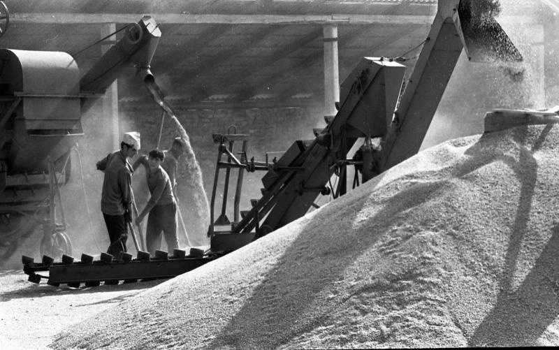Львівщина. Жовківський (кол. Нестеровський) район, 1970-ті рр. Фотограф: Всеволод Тарасевич