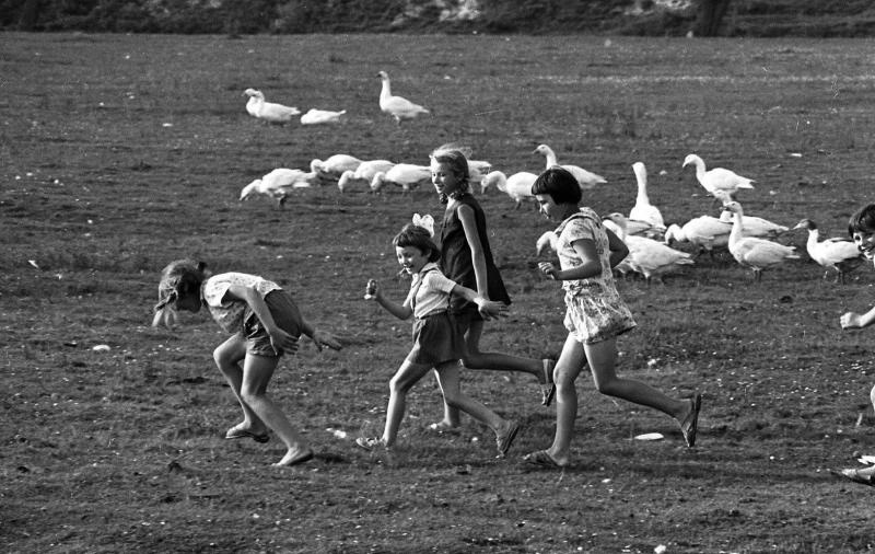 Львівщина. Жовківський (кол. Нестеровський) район, 1970-ті рр. Фотограф: Всеволод Тарасевич
