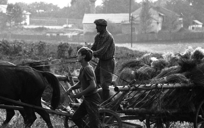 Львівщина. Жовківський (кол. Нестеровський) район, 1970-ті рр. Фотограф: Всеволод Тарасевич