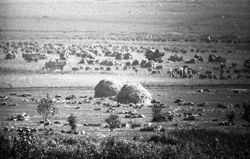 Жовківський (кол. Нестеровський) район, 1970-ті рр. Фотограф: Всеволод Тарасевич