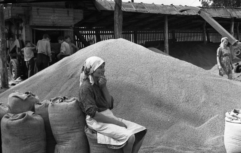 Львівщина. Жовківський (кол. Нестеровський) район, 1970-ті рр. Фотограф: Всеволод Тарасевич