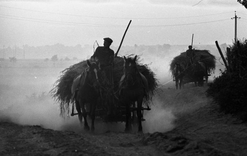 Львівщина. Жовківський (кол. Нестеровський) район, 1970-ті рр. Фотограф: Всеволод Тарасевич