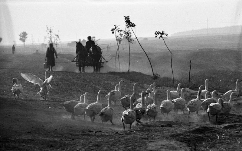 Жовківський (кол. Нестеровський) район, 1970-ті рр. Фотограф: Всеволод Тарасевич