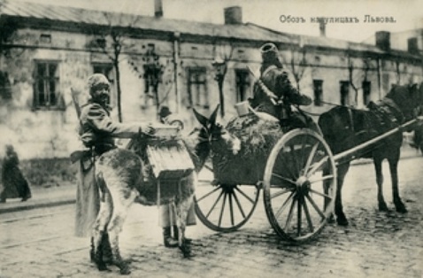 «Обоз на вулицях Львова»