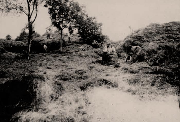 Жовква в період Першої світової війни