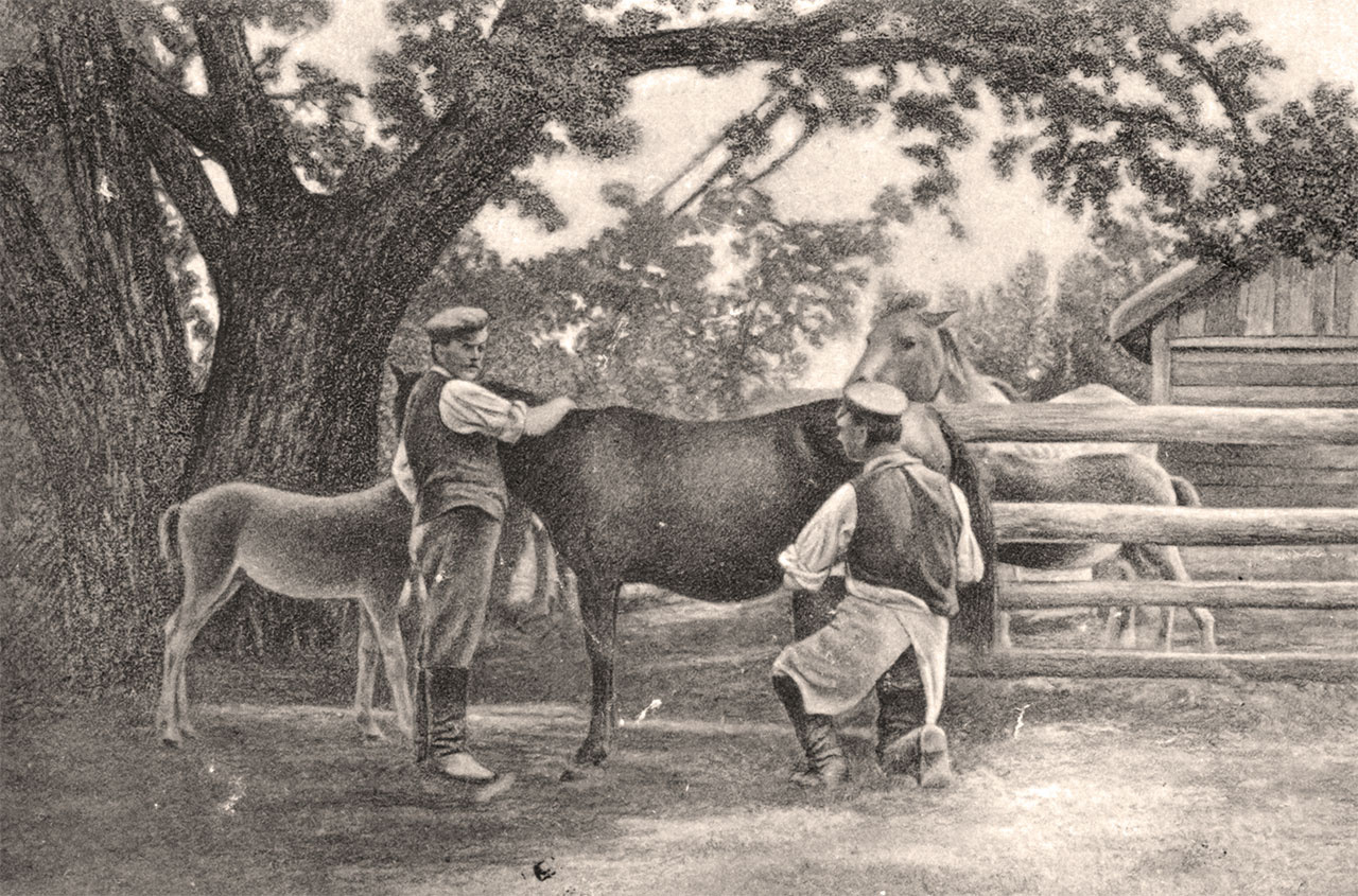 Кумисо-гідропатичний курорт у Славуті. 