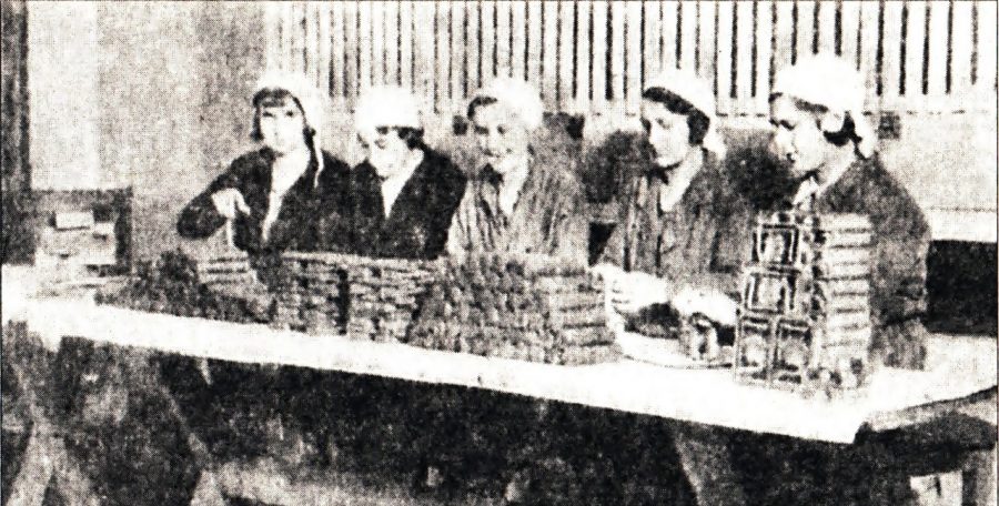 У кооперативній фабриці "Луна" у Львові. Робітниці упаковують цикорій, 1934 р.