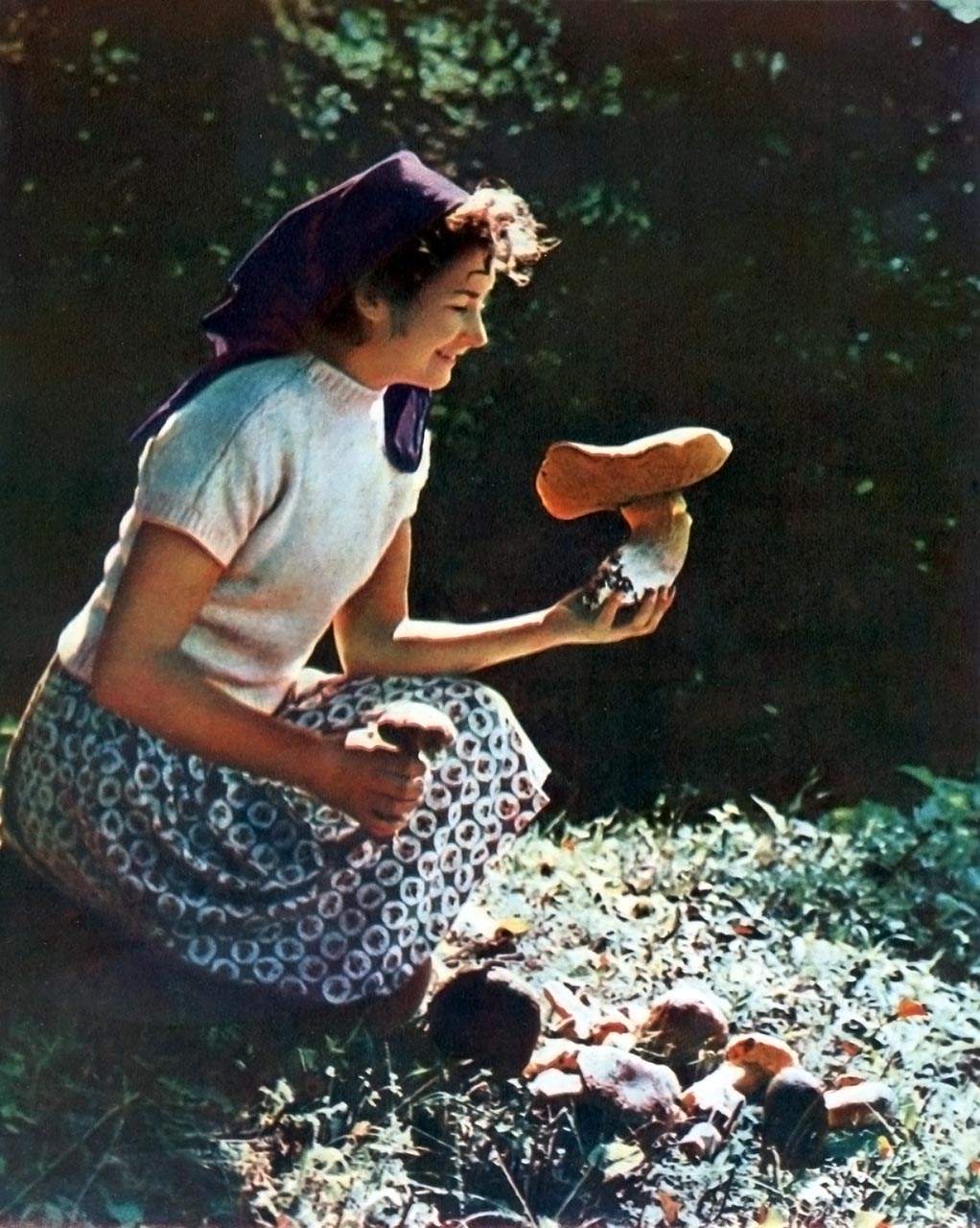 Який любитель грибів не позаздрить? Фотограф Микола Федорович Козловський.