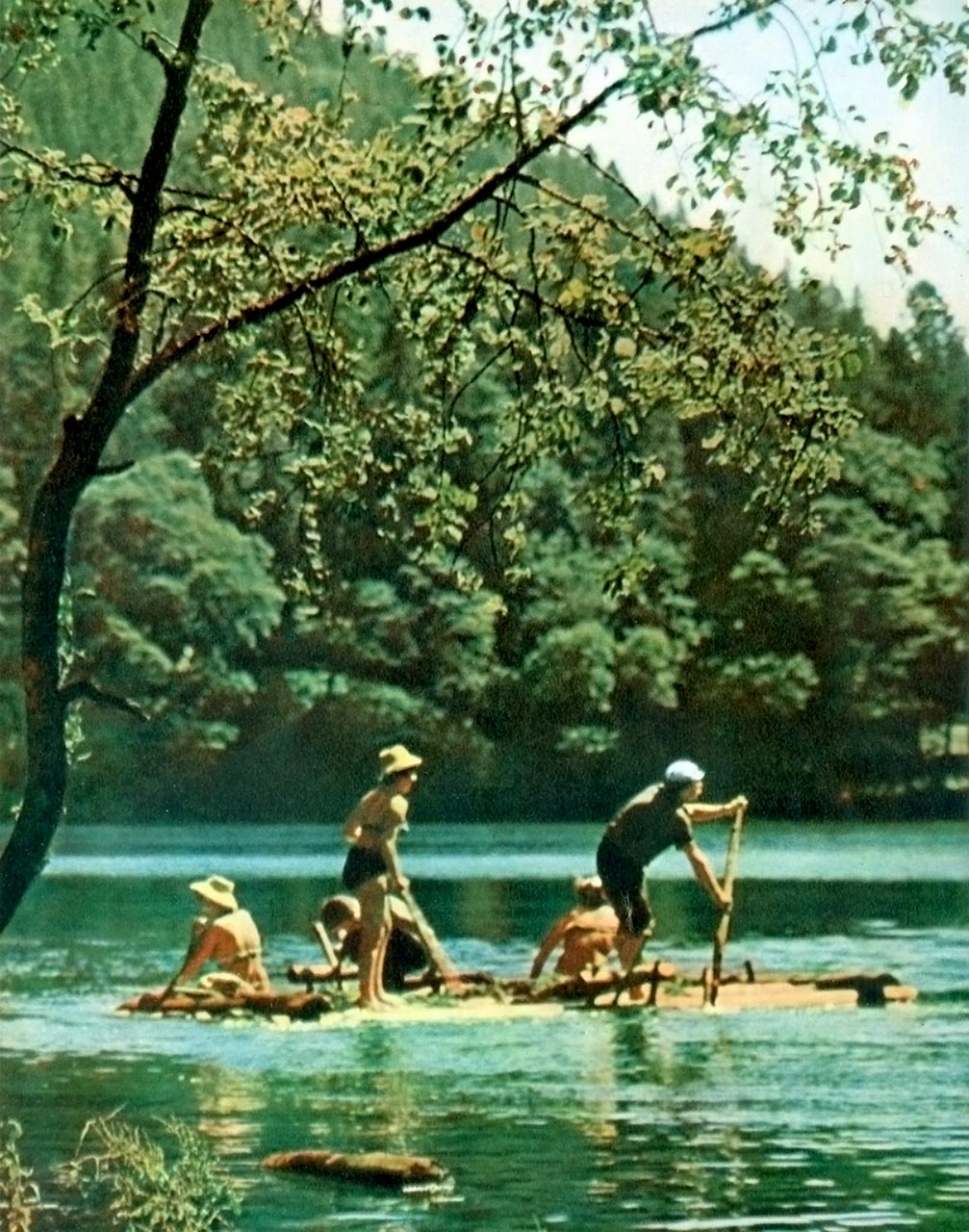 Гірська річка. Фотограф Микола Федорович Козловський.