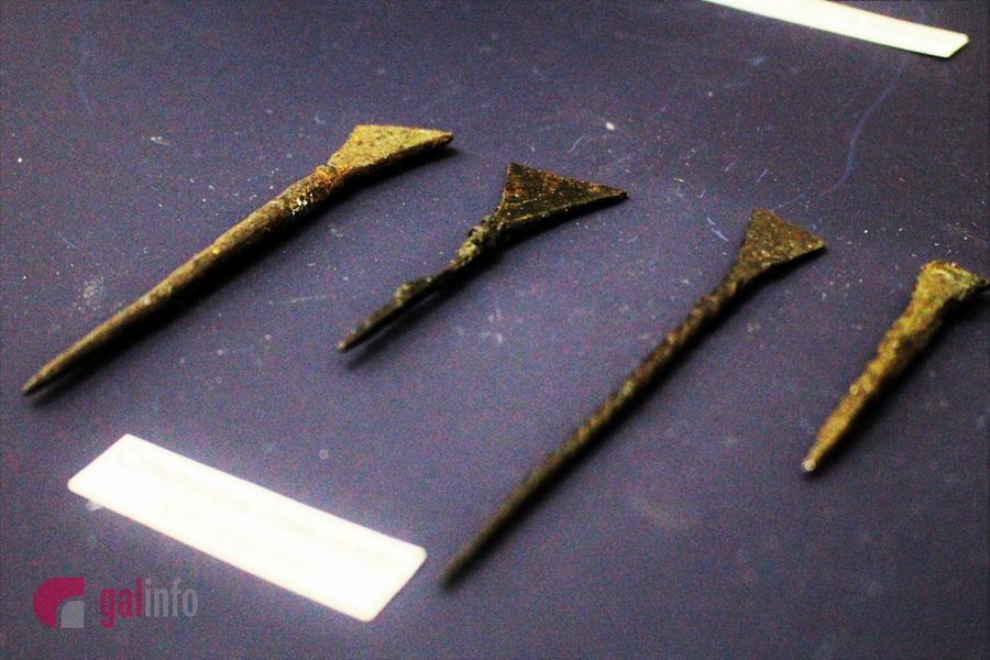 Експозиція виставки. Фото: Олена Ляхович