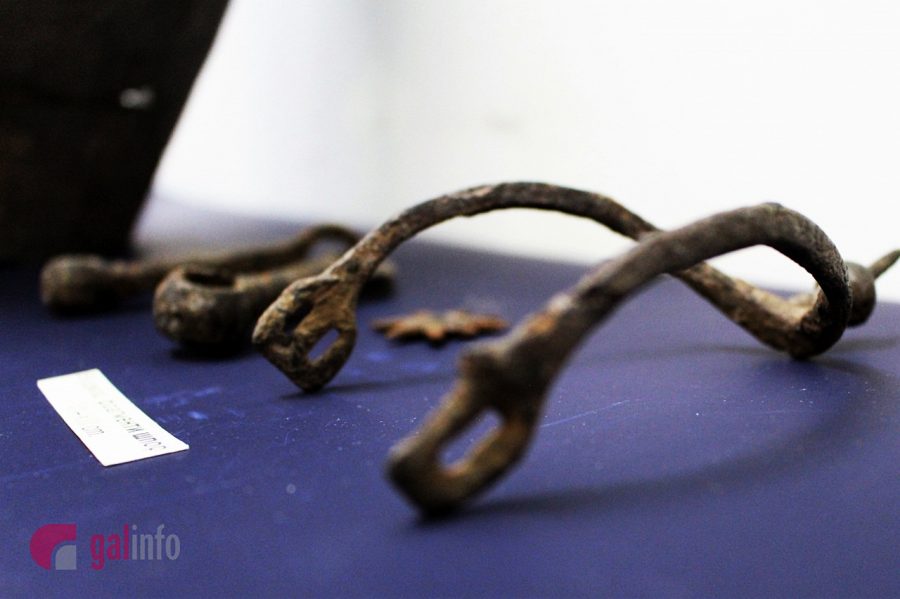 Експозиція виставки. Фото: Олена Ляхович