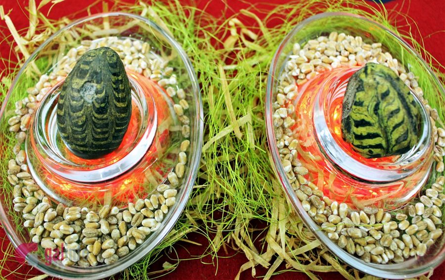 Експозиція виставки. Фото: Олена Ляхович